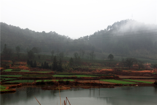 ���ϴ�ˮ�� (2).jpg