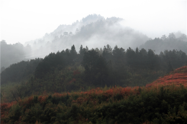 ���ϴ���ͮͮ (2).jpg