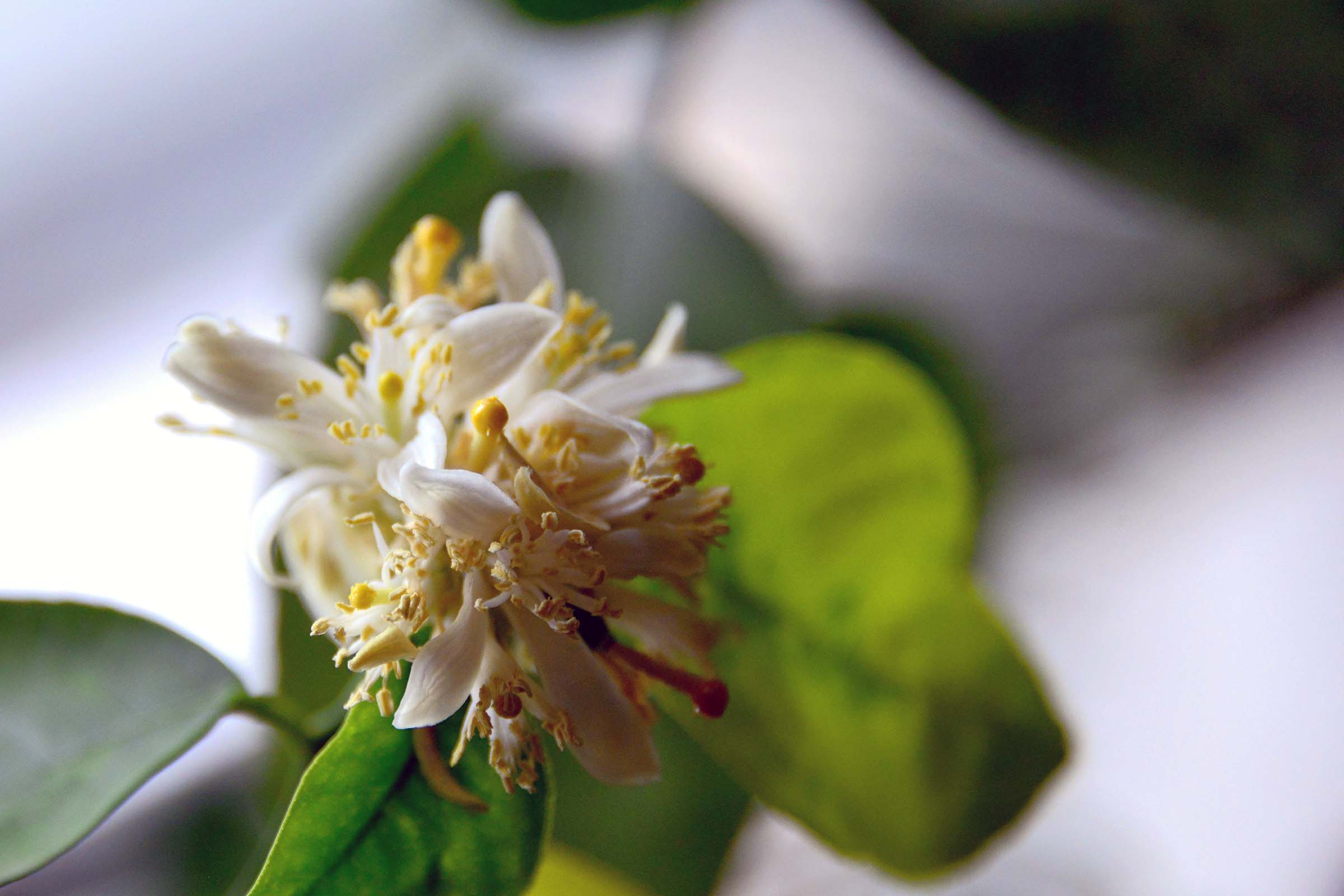 28300�Ծ�ͼƬ (2).jpg