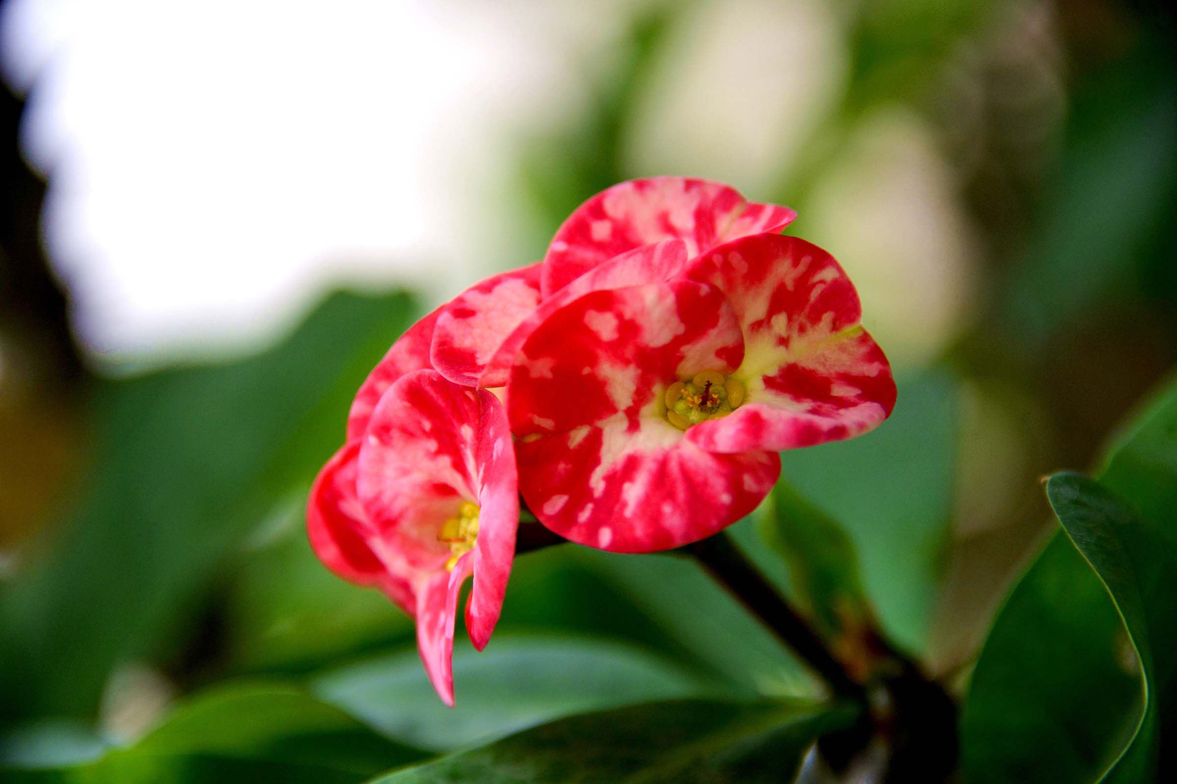 28300�Ծ�ͼƬ (4).jpg