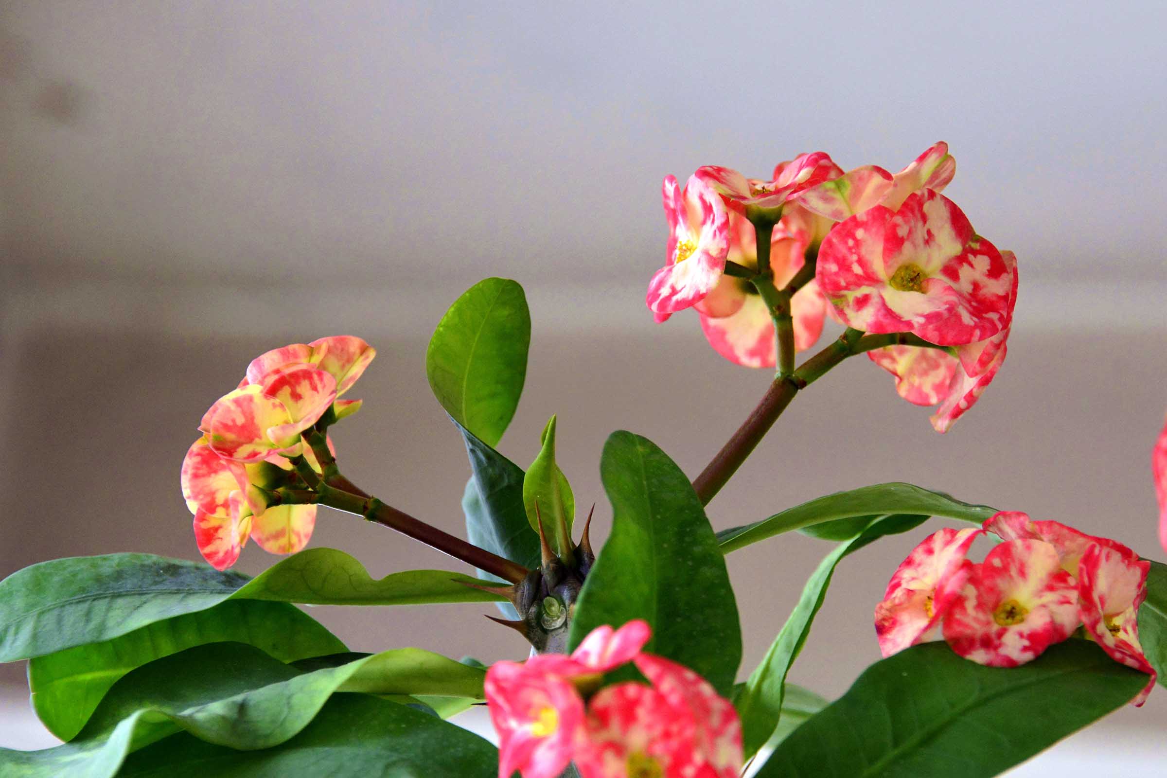 28300�Ծ�ͼƬ (7).jpg