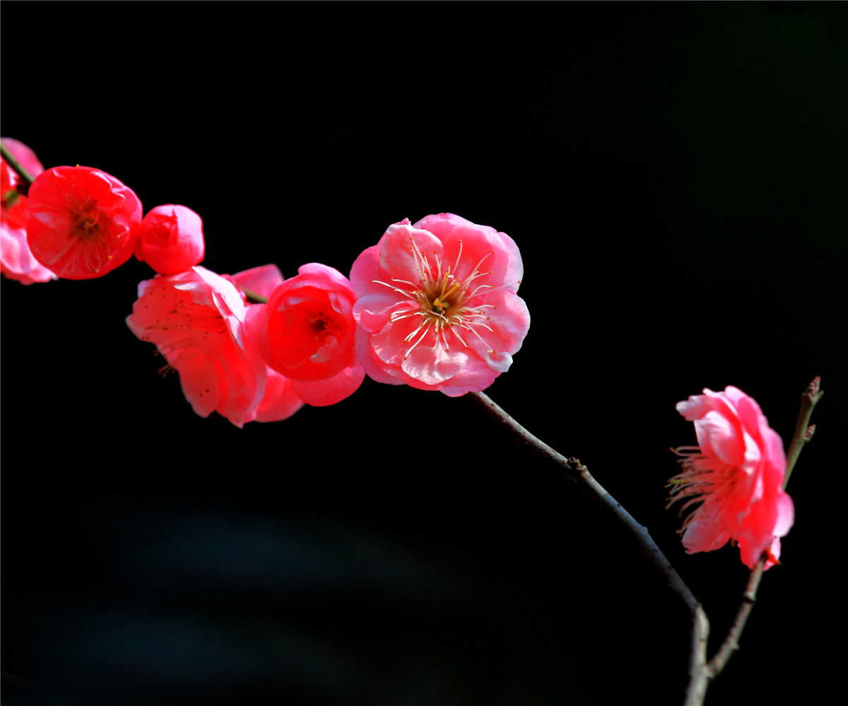 ÷���� (1).jpg