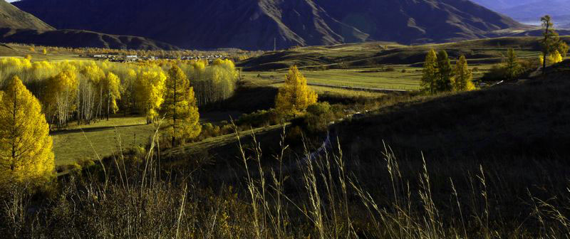 �׹��͵��糿��