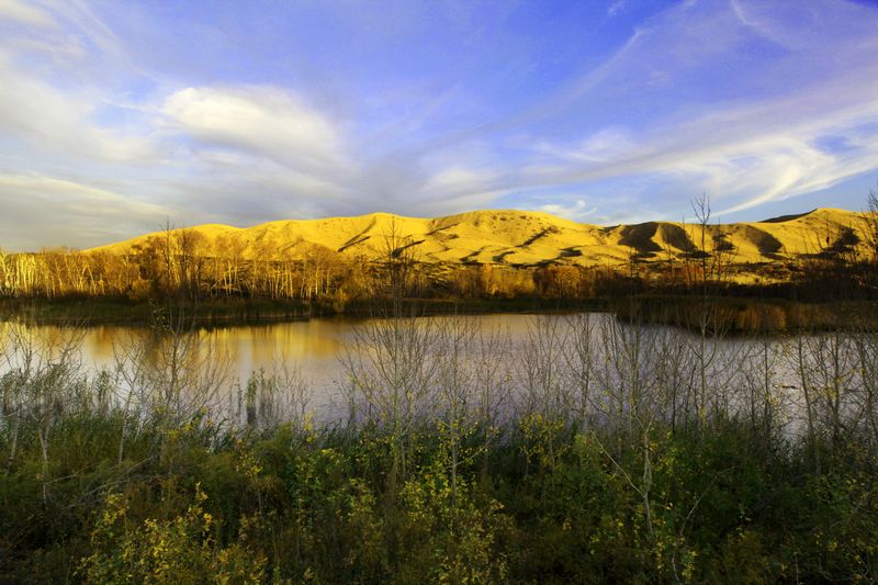 ��ɳ������ϼ��