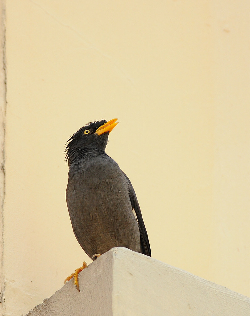 5DSC_0514.jpg