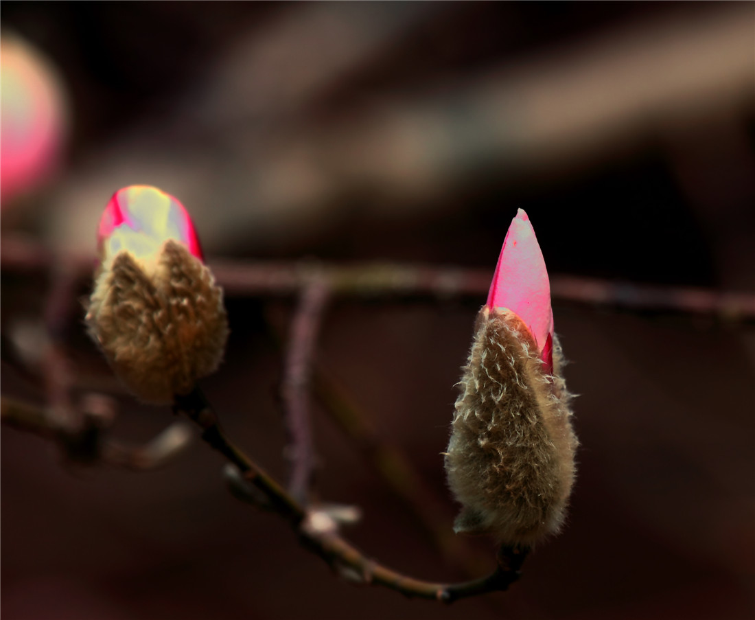 ������ (1).jpg