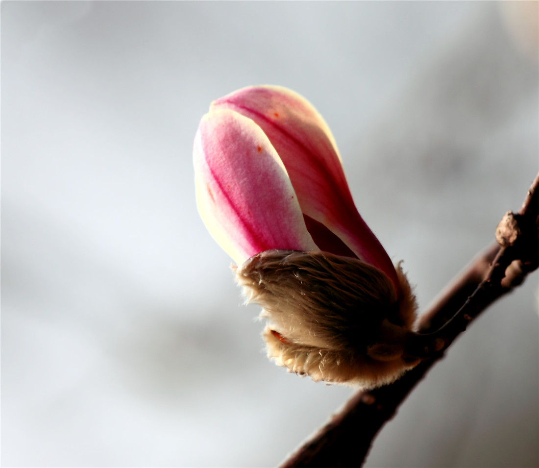 ������ (2).jpg