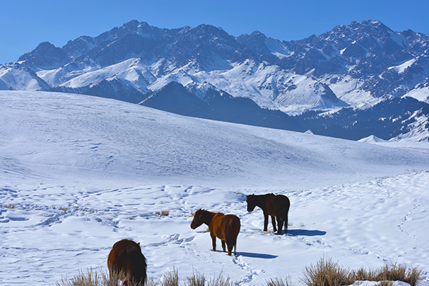 ��ȻѰʳ��ѩɽ����