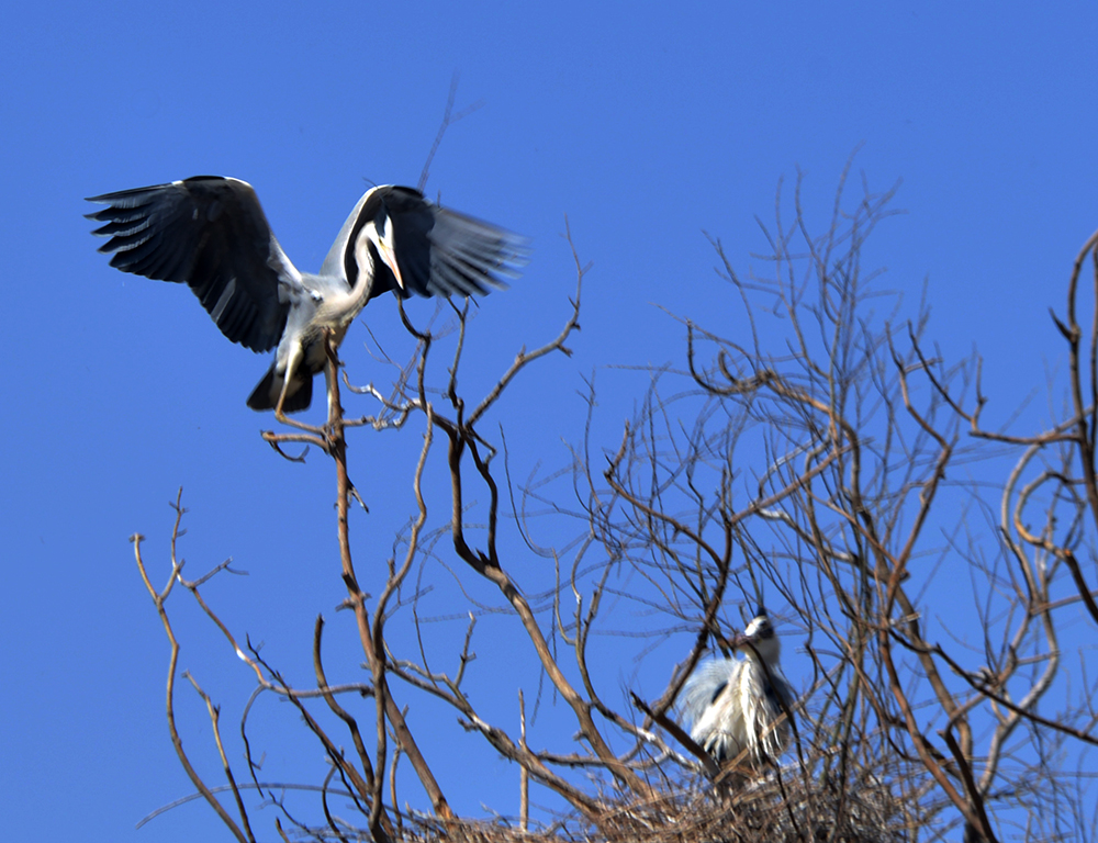 DSC_7036.JPG