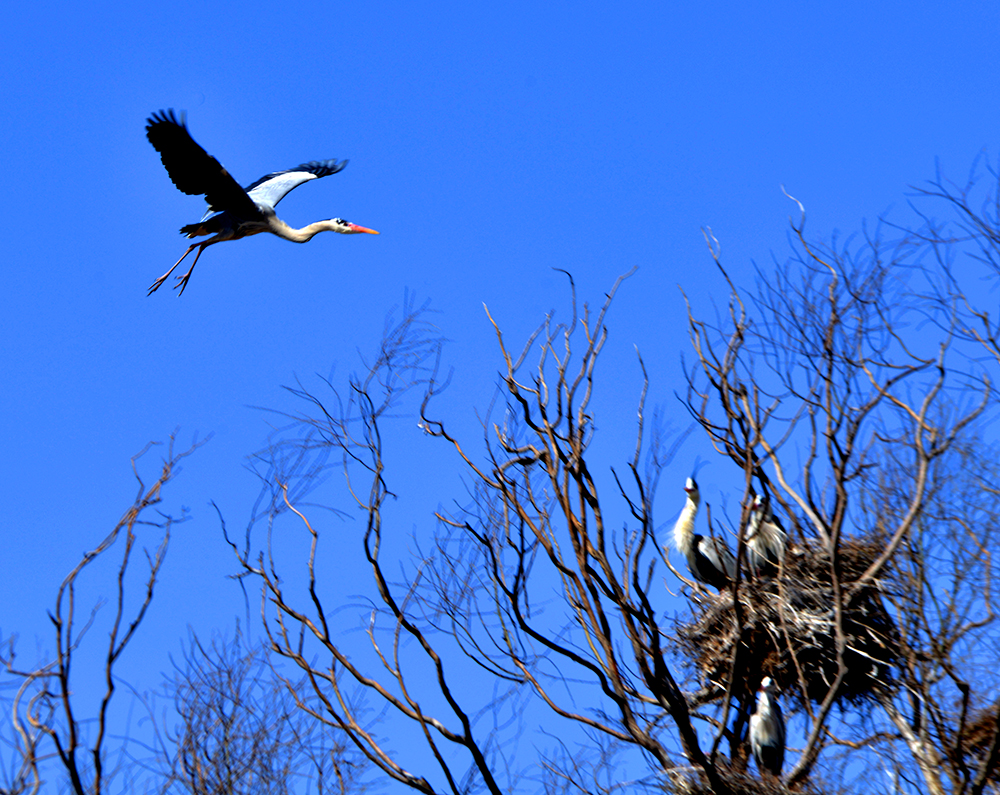 DSC_7060.JPG