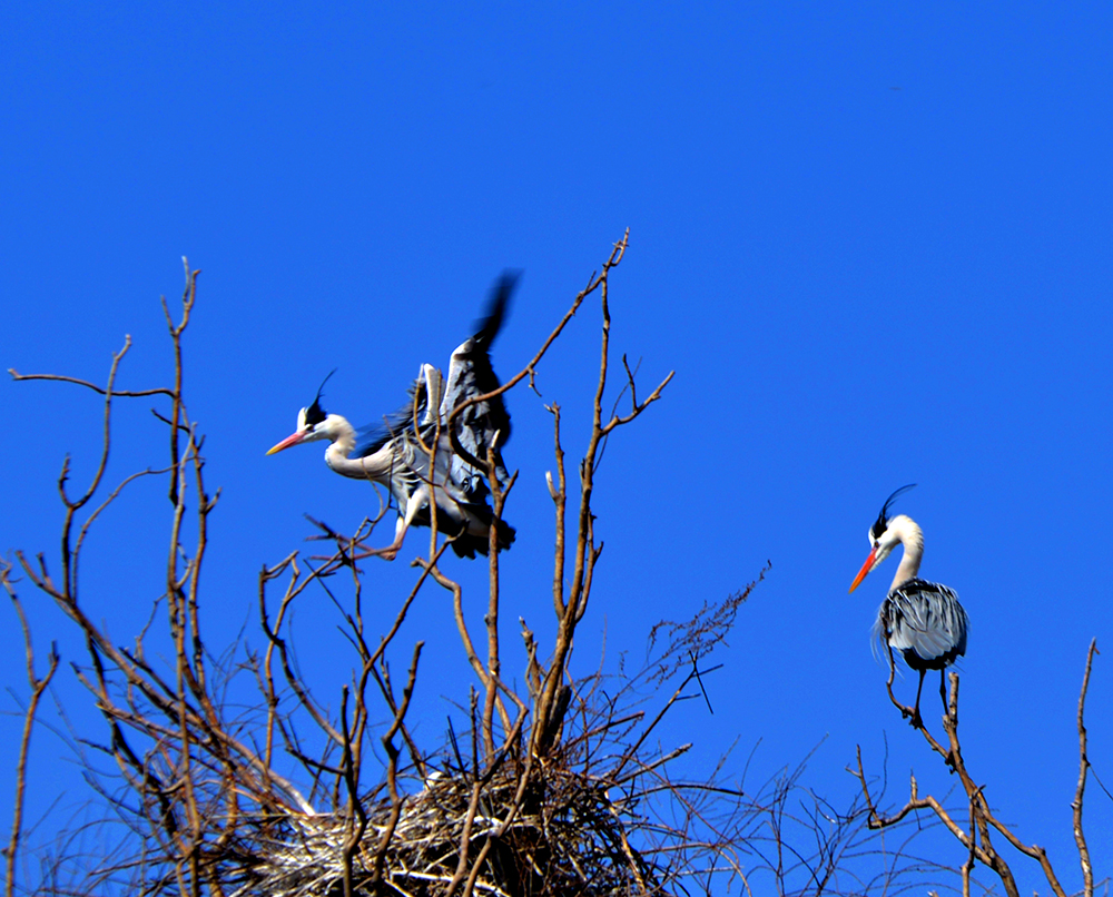DSC_7094.JPG