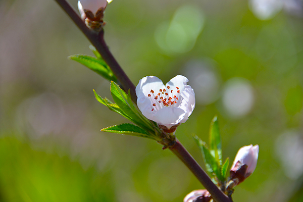 ������ȥ���һ�����