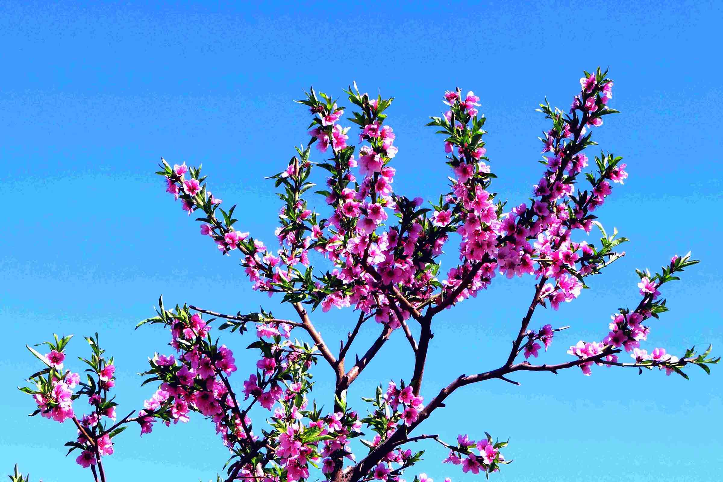 �һ�(2013��}   .jpg