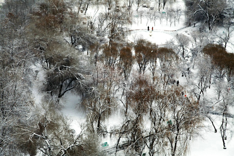 2���ڴ���Ц