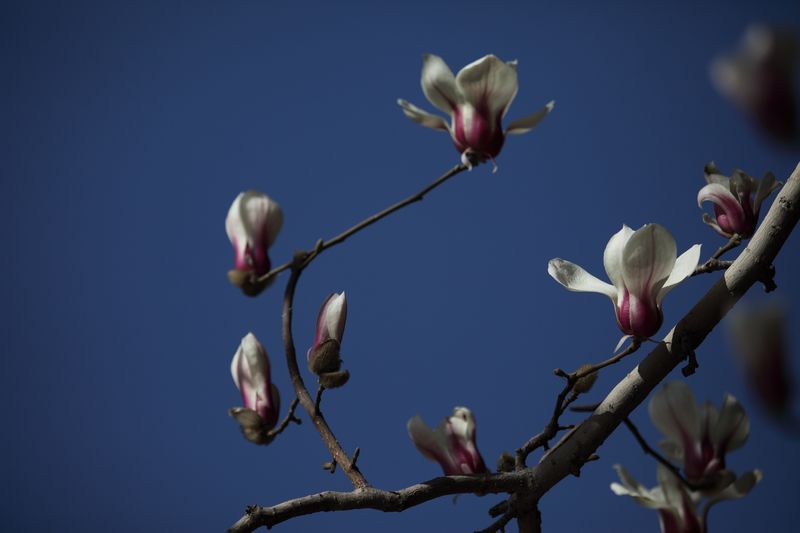 IMG_9278 - ����.JPG