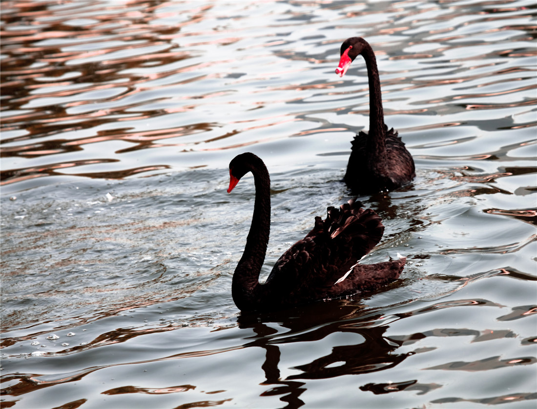 ̸��˵�� (4).jpg