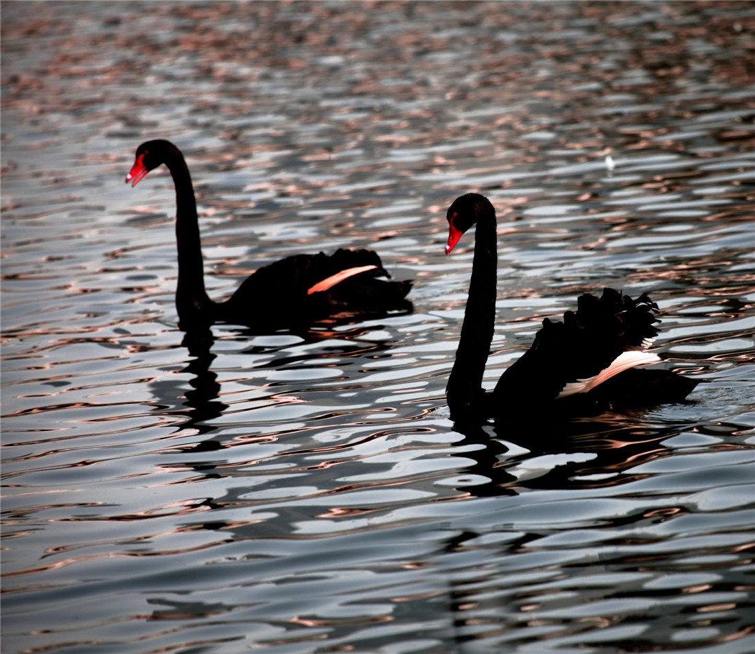 ̸��˵�� (5).jpg