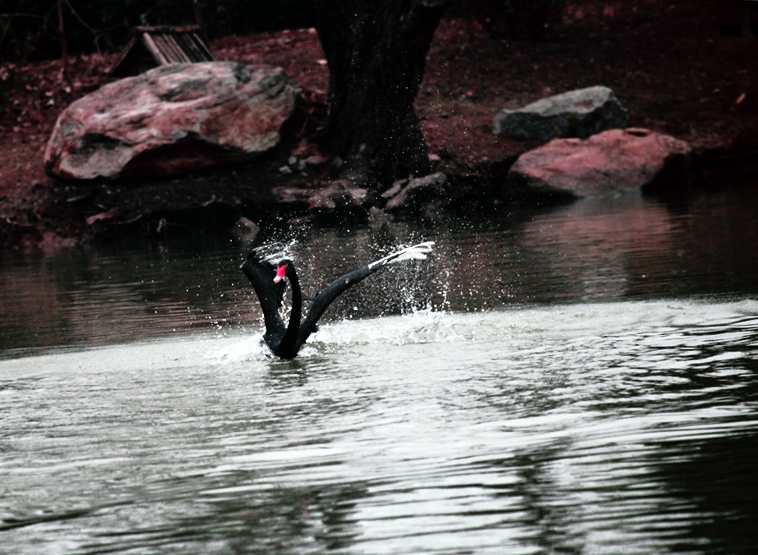 ˮ���赸 (5).jpg