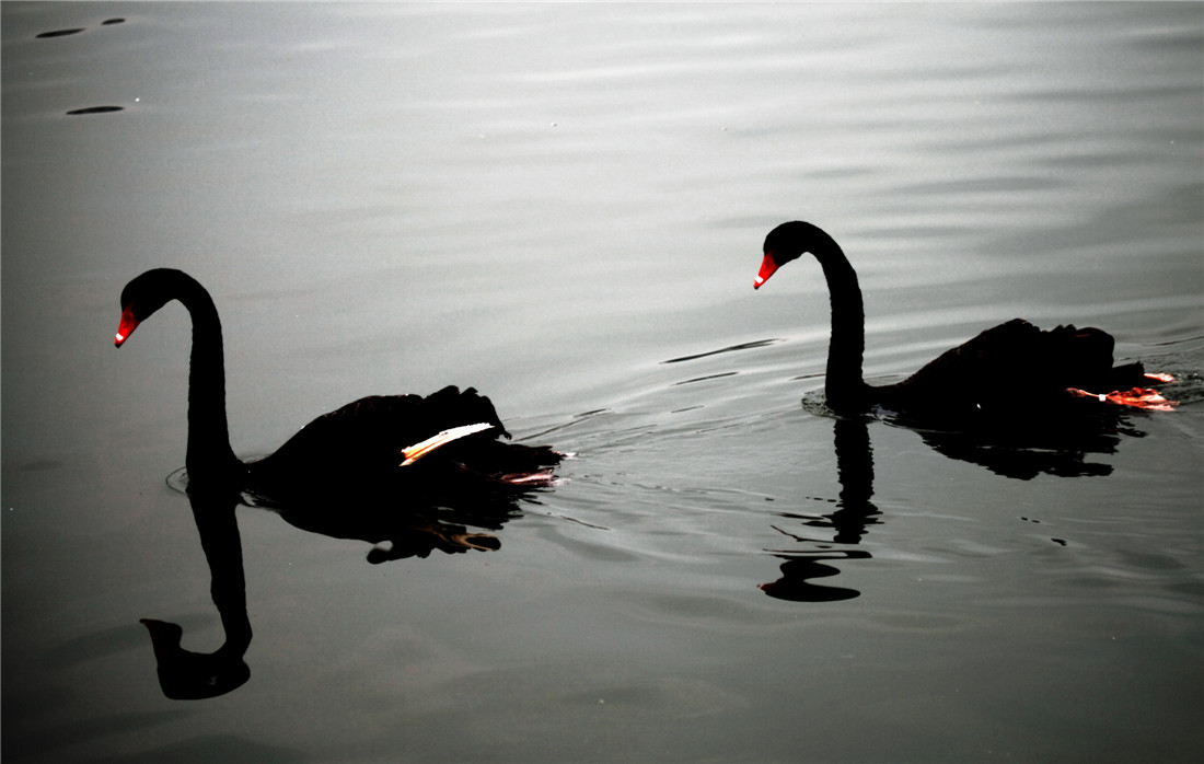 ̸��˵�� (1).jpg