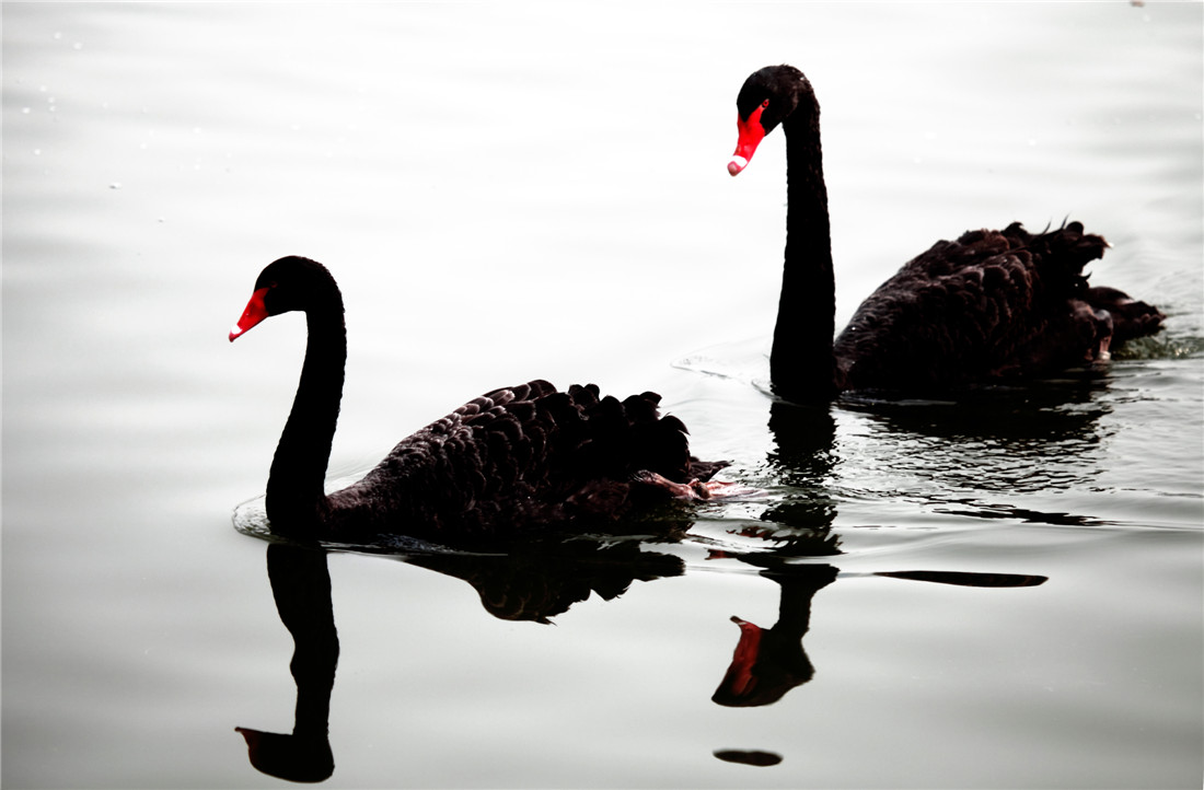 ̸��˵�� (6).jpg