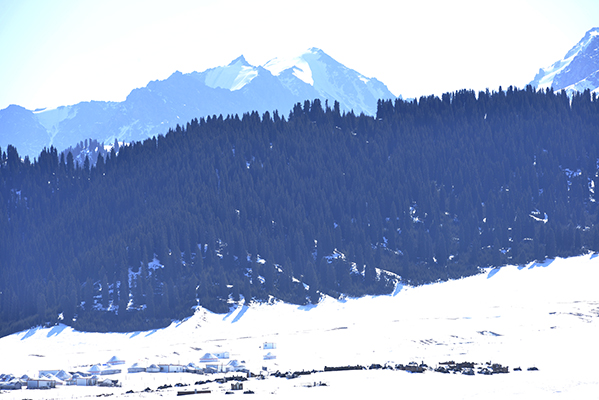 ������ۼ����ɽ����