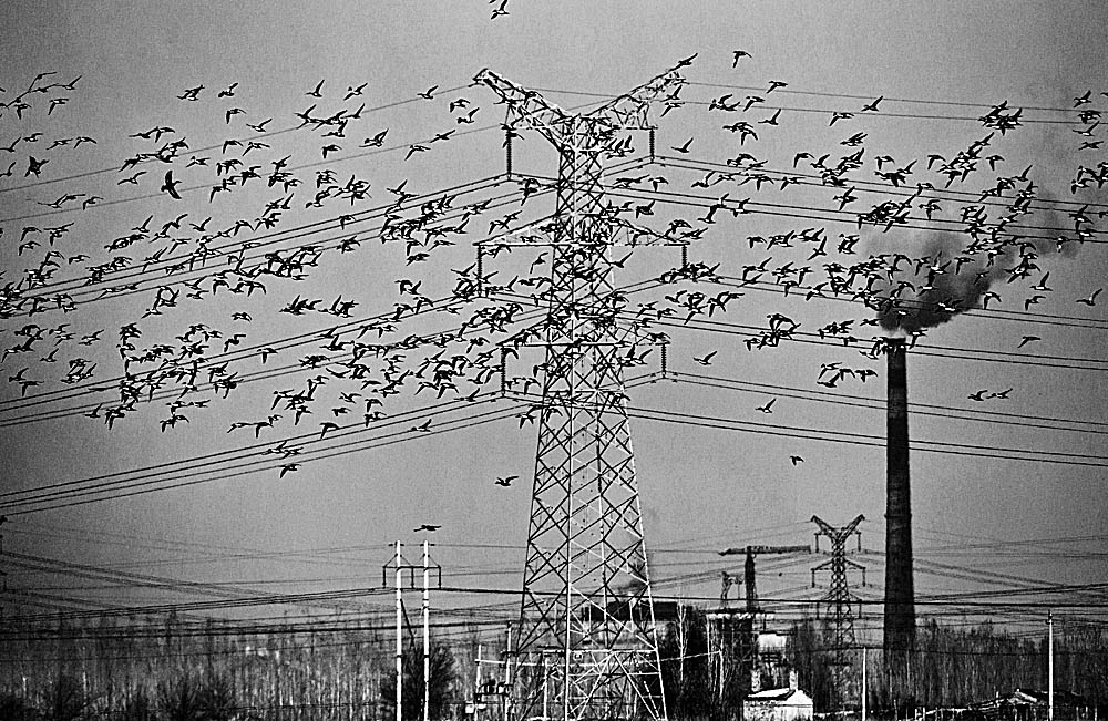 ���� _N8E2109.JPG