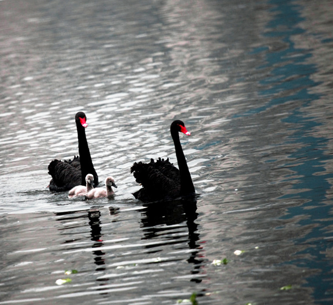 һ���� (2).jpg