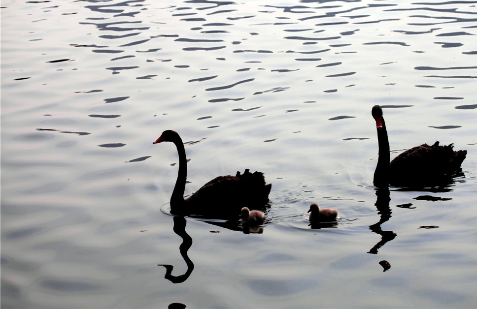 һ���� (3).jpg