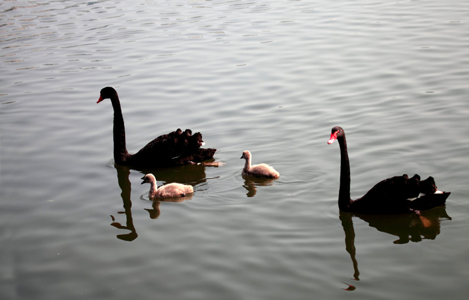 һ���� (5).jpg