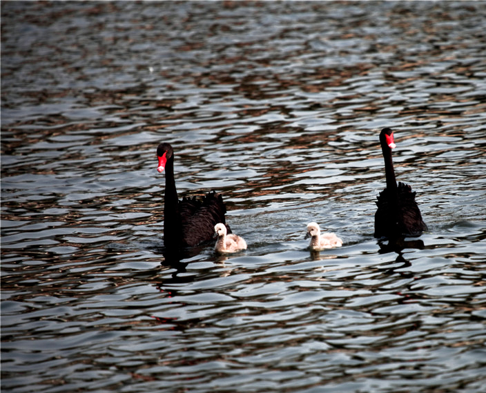 һ���� (1).jpg