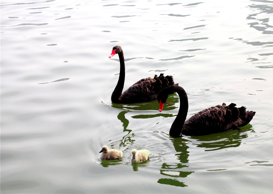 һ���� (4).jpg