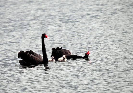 һ���� (6).jpg