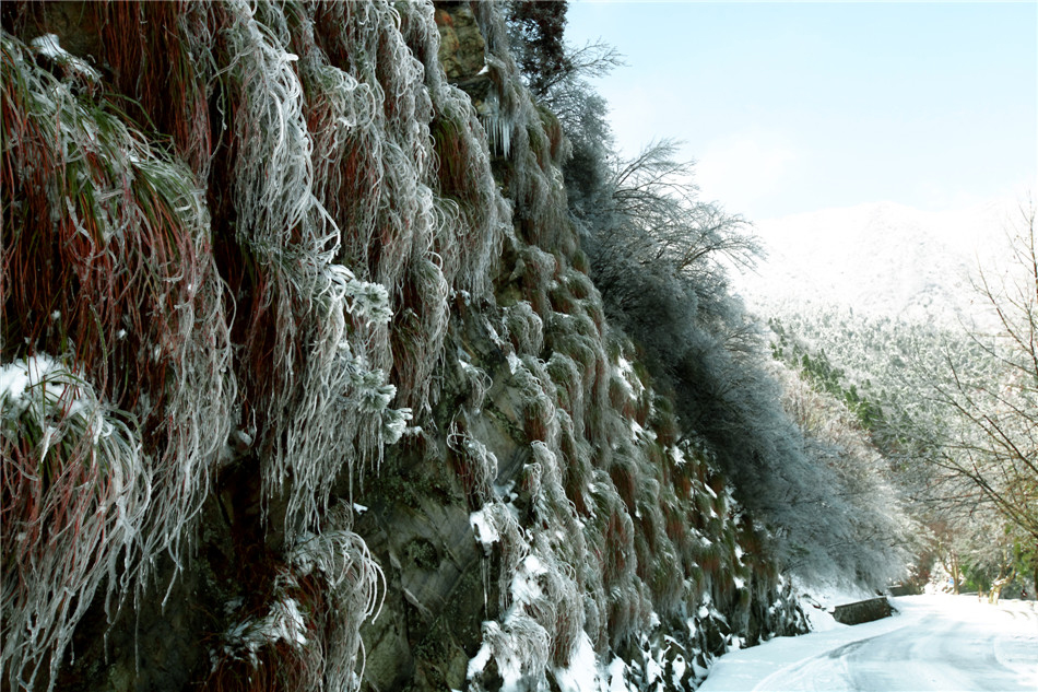 ɽ�±��� (2).jpg