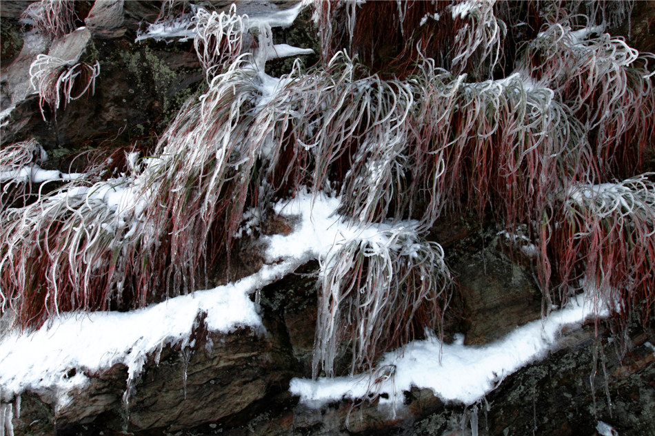 ɽ�±��� (1).jpg