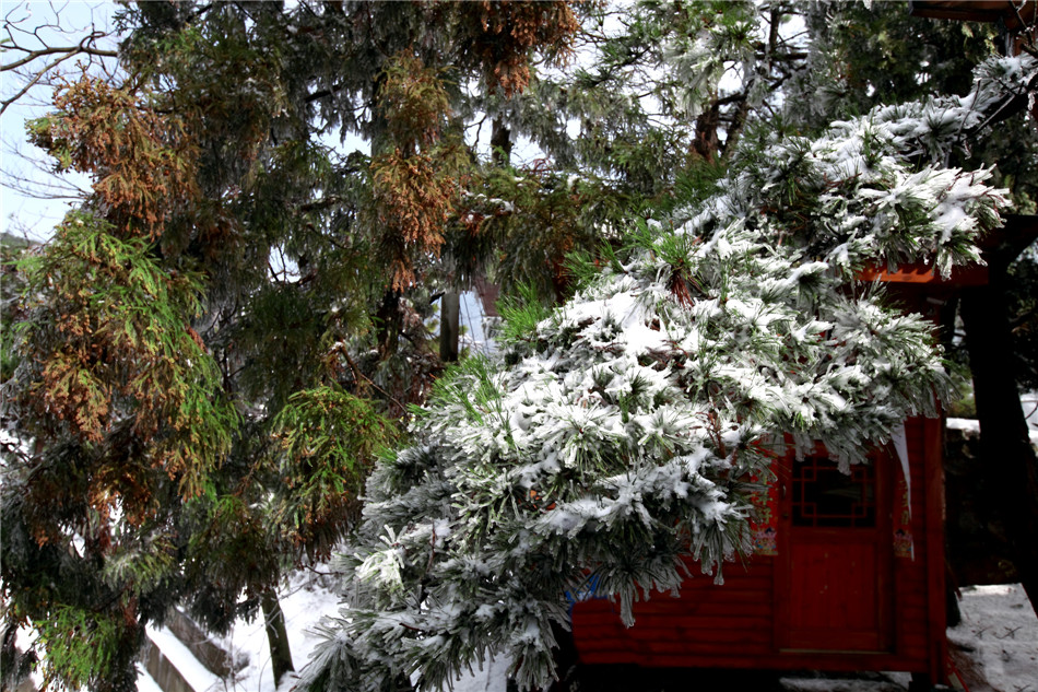 ���� (1).jpg