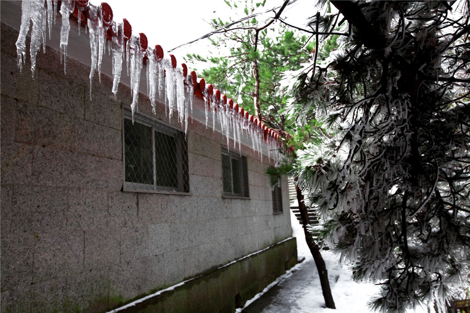 ���� (4).jpg