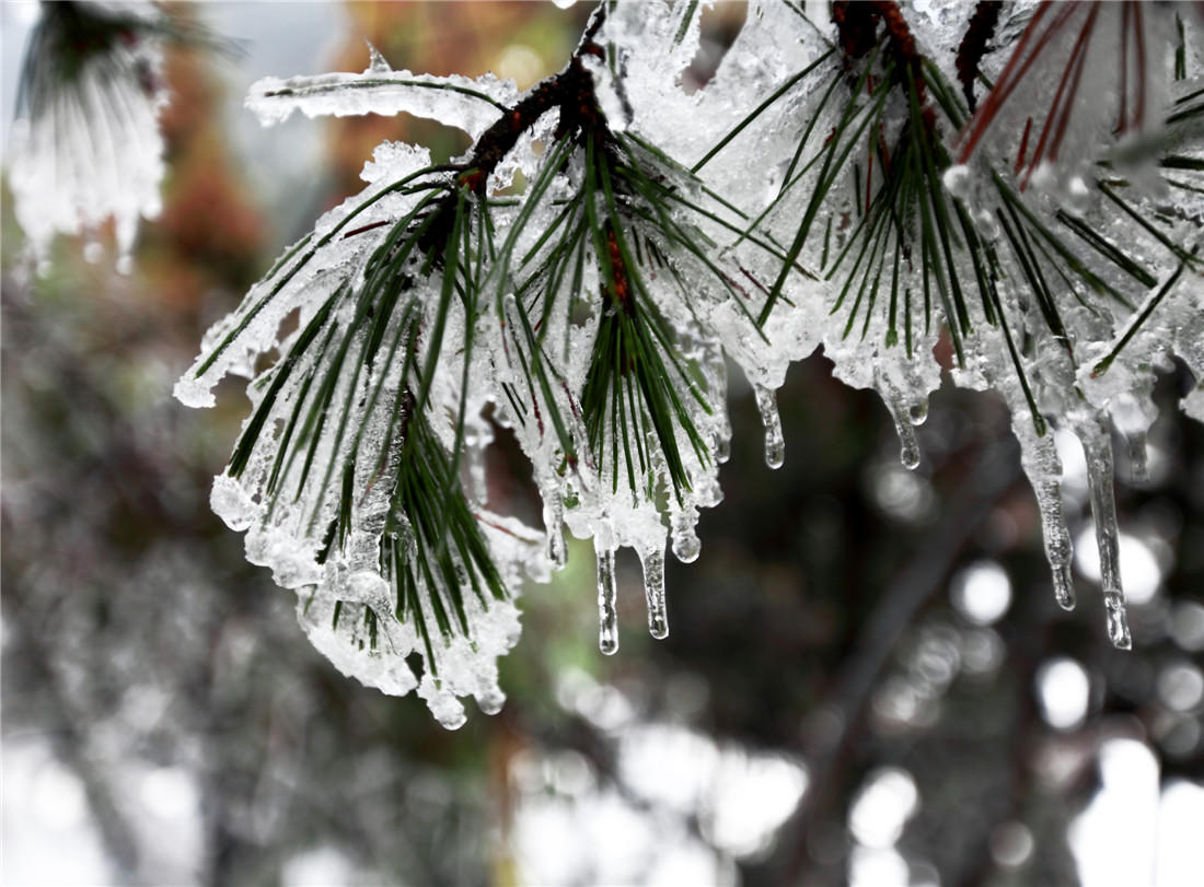 ���� (6).jpg