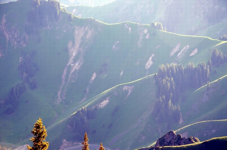 ������   ������