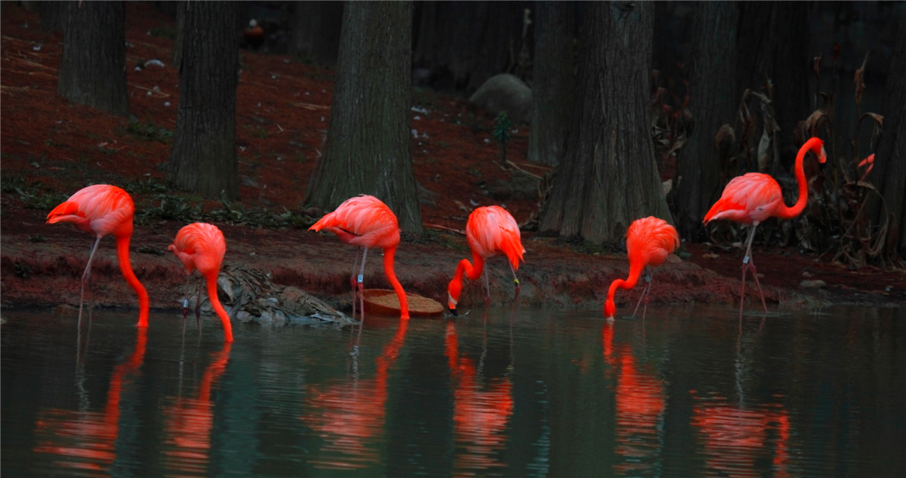 ���� (1).jpg