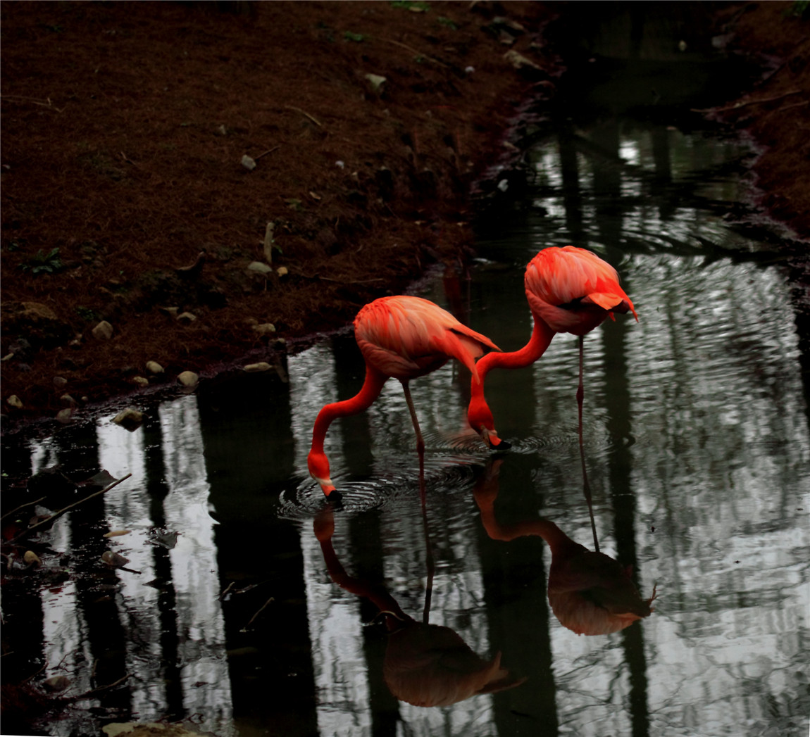 ���� (2).jpg