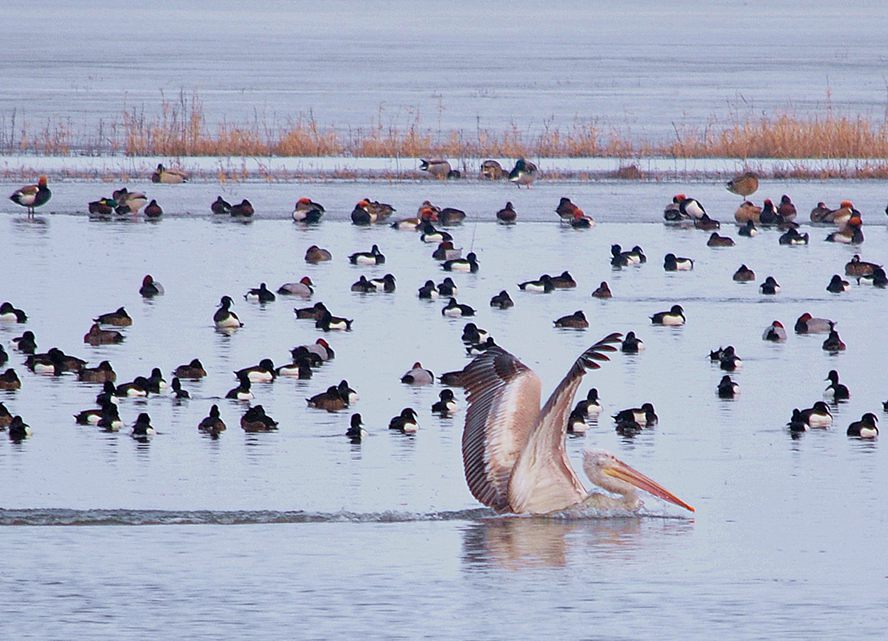 ��Ƭ 143_����.jpg