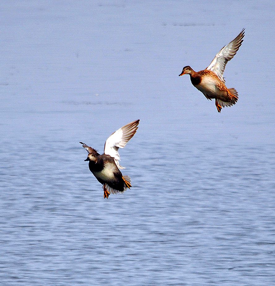 ��Ƭ 188_����.jpg