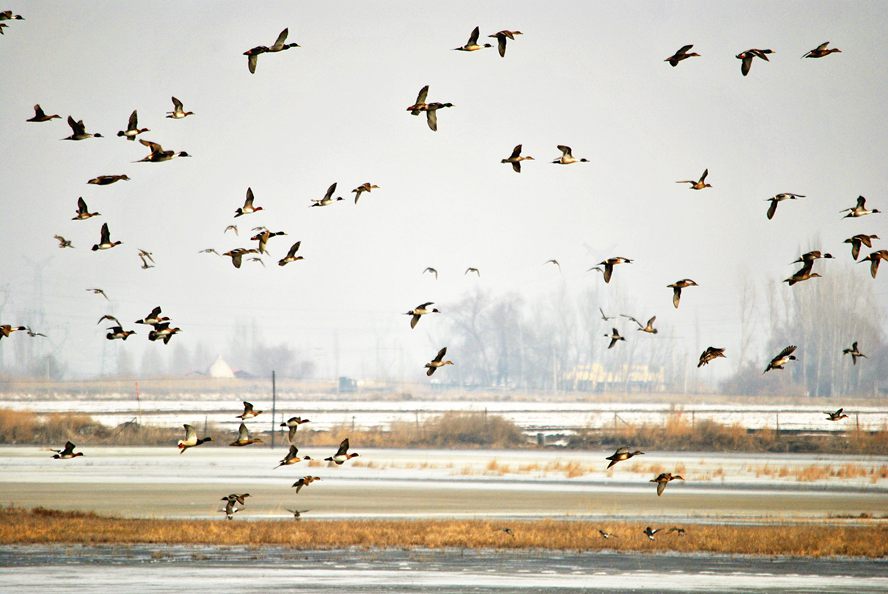 ��Ƭ 227_����.jpg