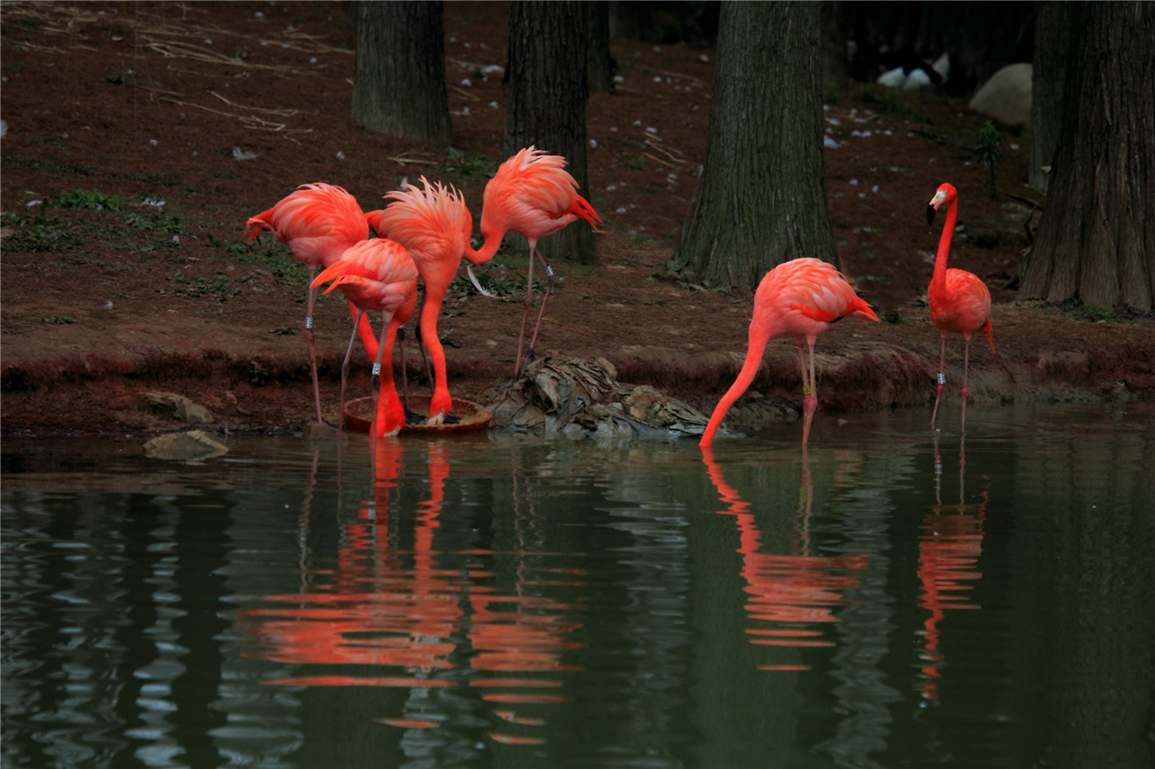 ���� (3).jpg