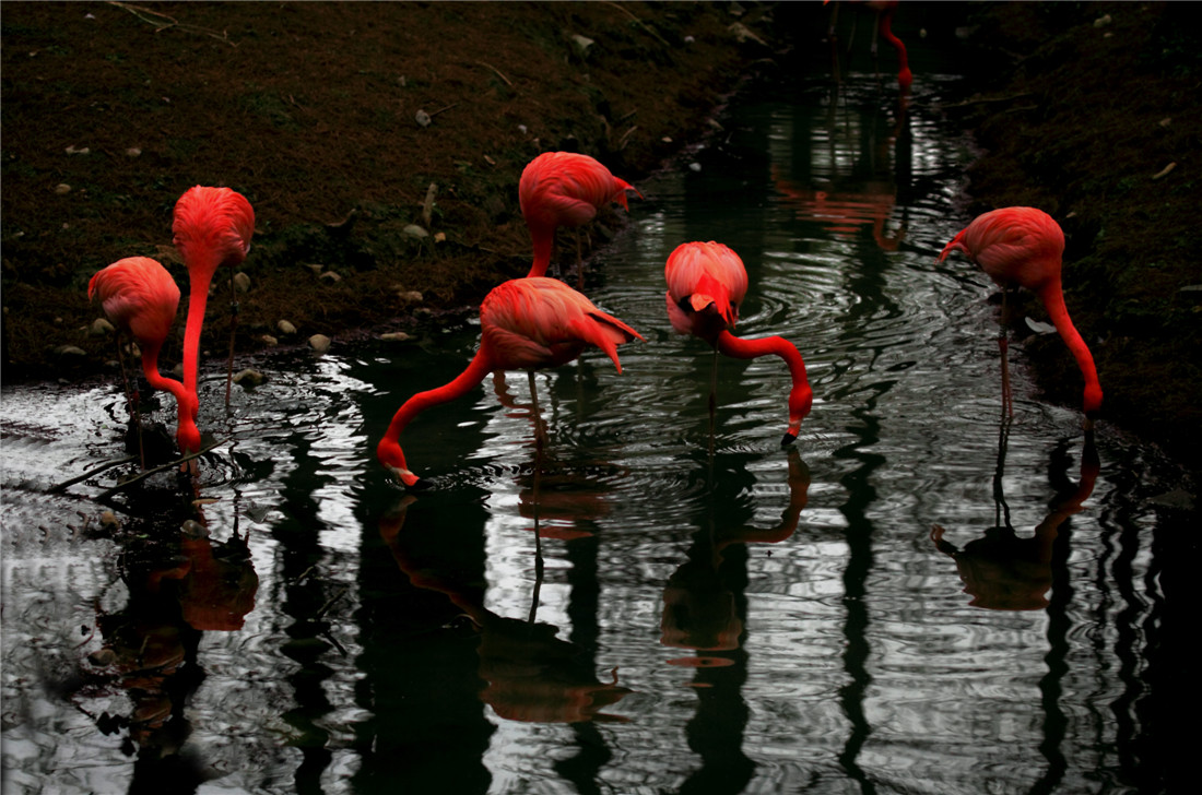 ���� (3).jpg