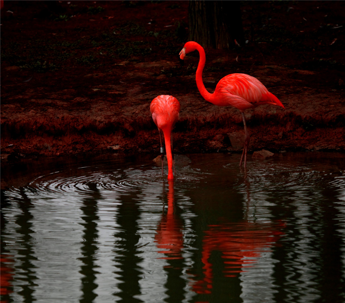 ���� (4).jpg