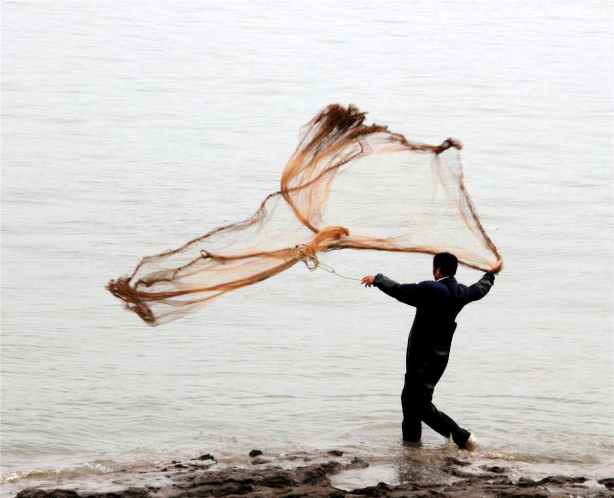 ���� (1).jpg