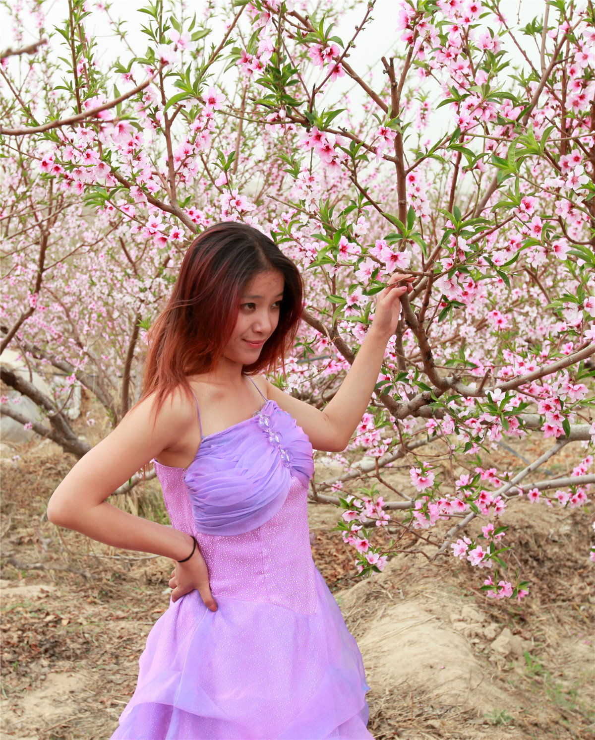 �����һ� (3).jpg