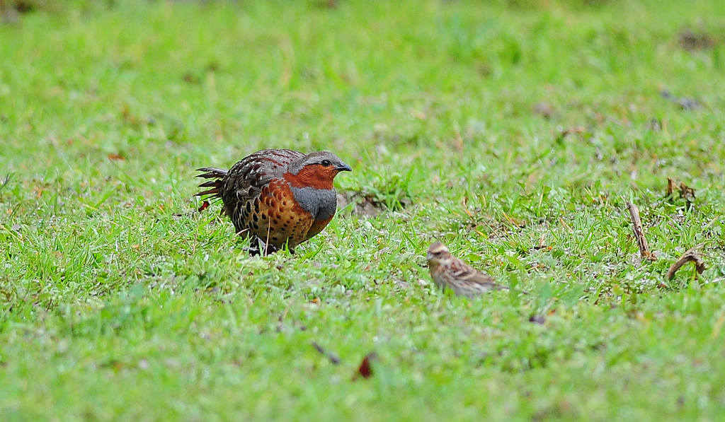 2DSC_0037.jpg