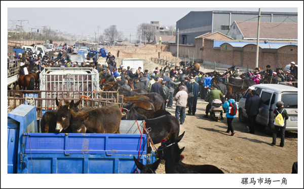 2014��3��20�ղ軨��Ƭ 2352.jpg